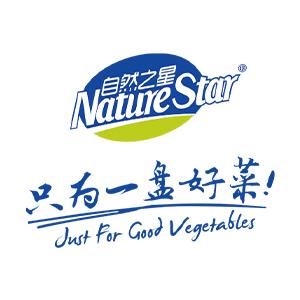 成武金石